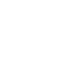 ALM Nissan Newnan